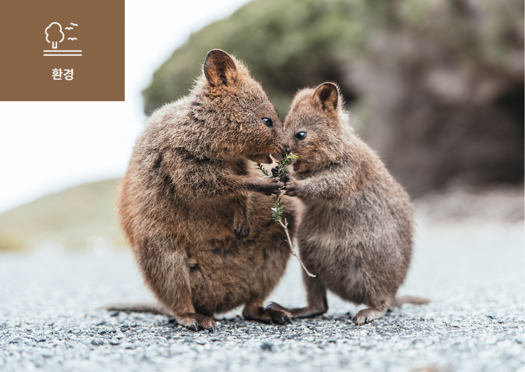 [역대 최고의 빌런이 나타났다!] 이미지