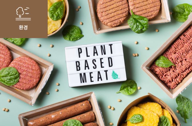 [대체육이 기후변화를 막을 수 있을까] 이미지