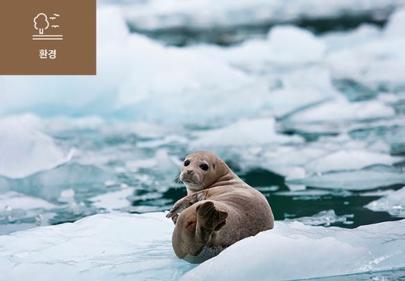 [빙하가 보내는 경고] 이미지
