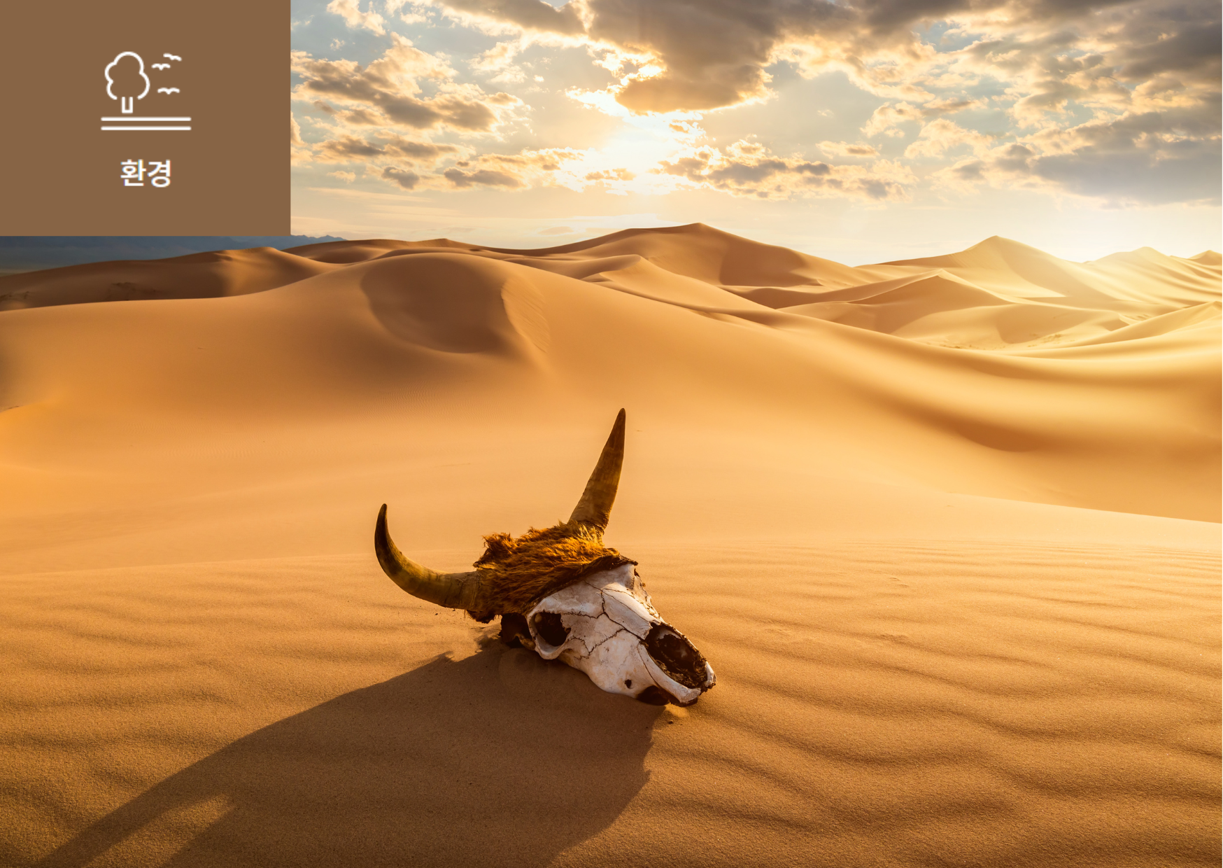 [적색목록(Red List)이란?] 이미지