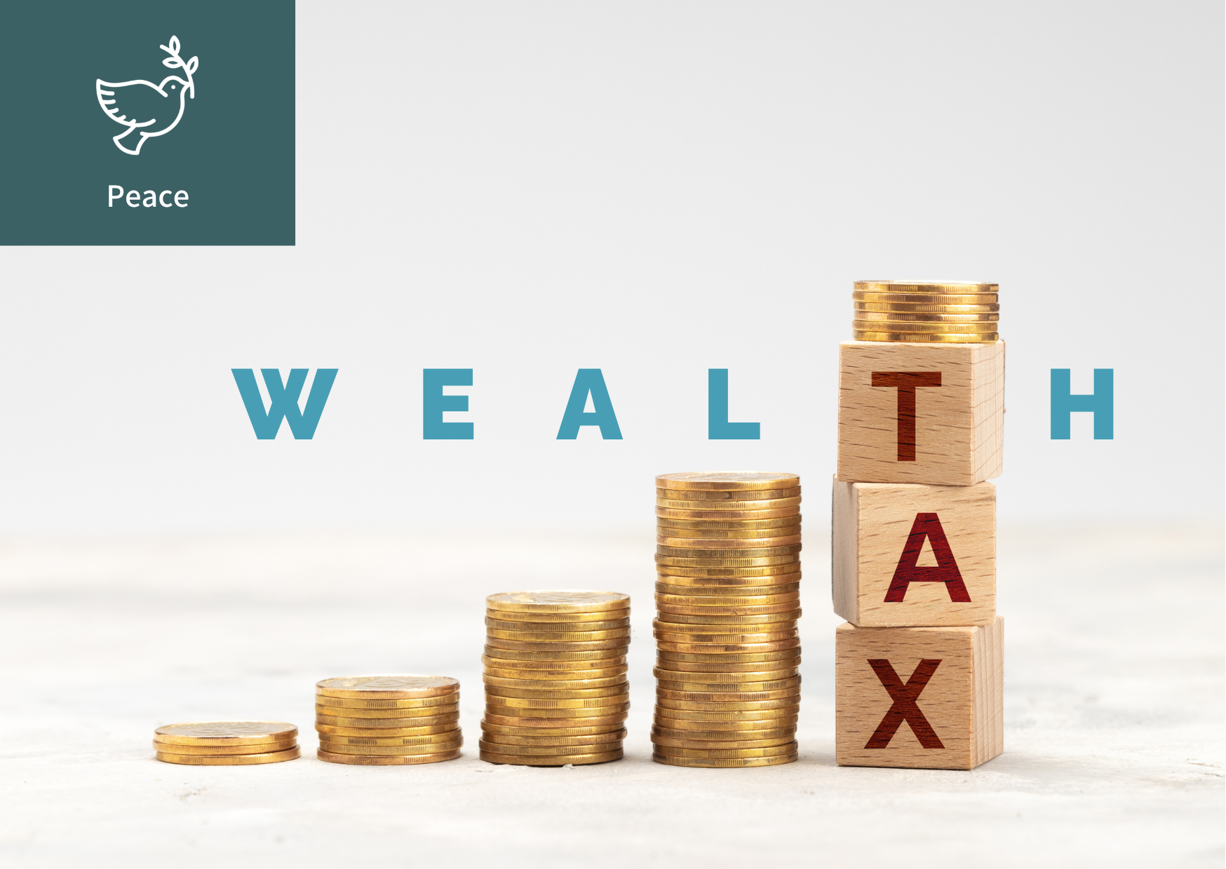 What is the Wealth Tax? 썸네일