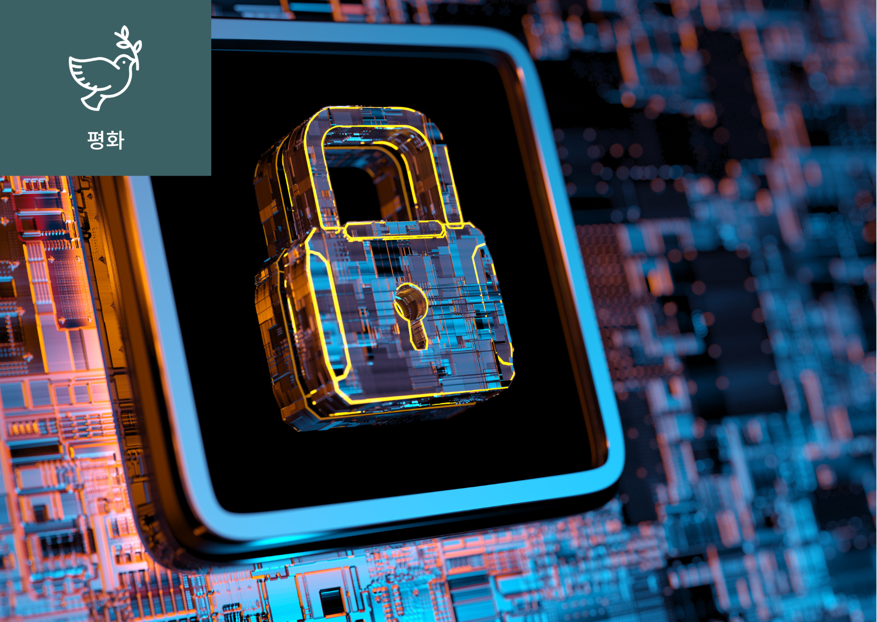 [디지털 프라이버시(Digital Privacy)란?] 이미지