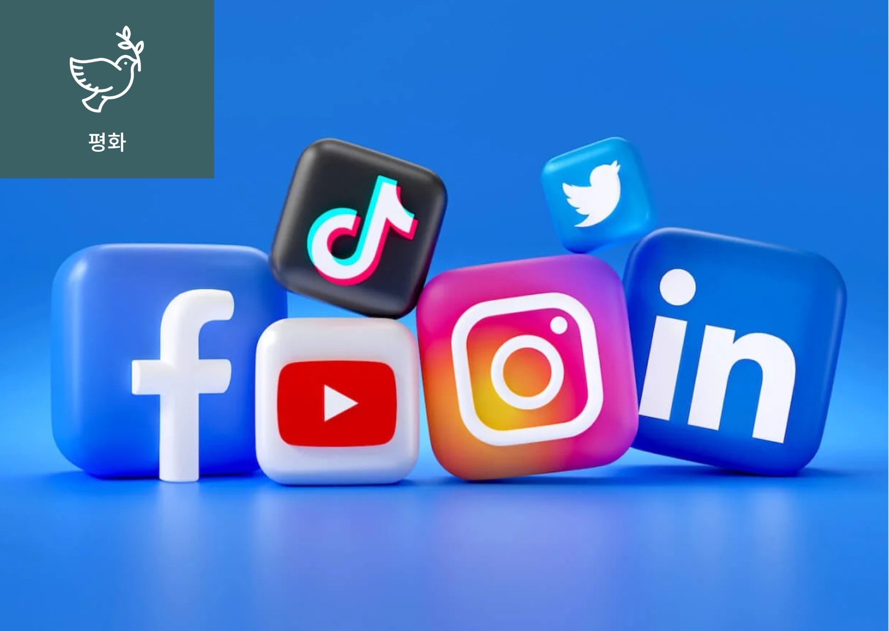 [디지털 행동주의(Digital Activism)란?] 이미지