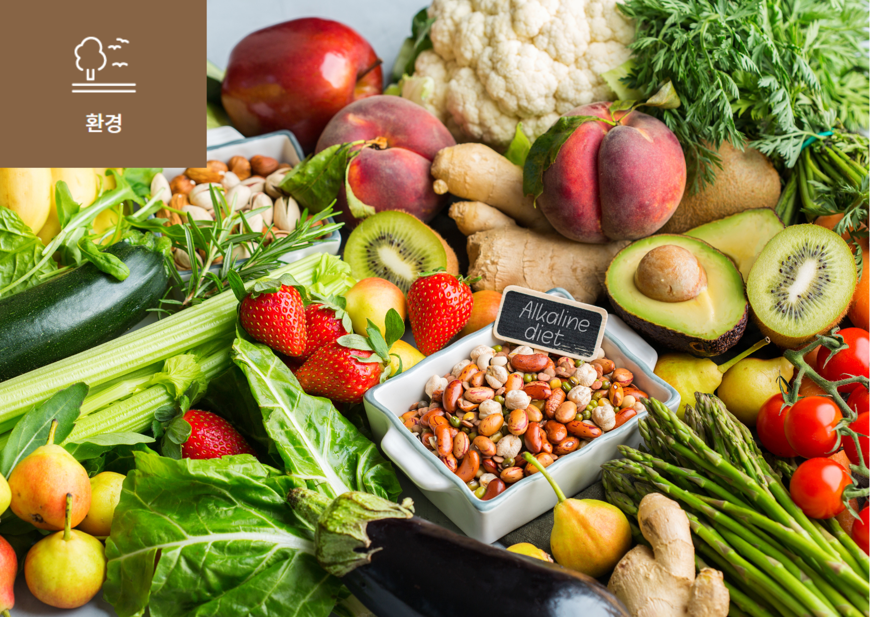 [클라이밋테리언(Climatarian)이란?] 이미지