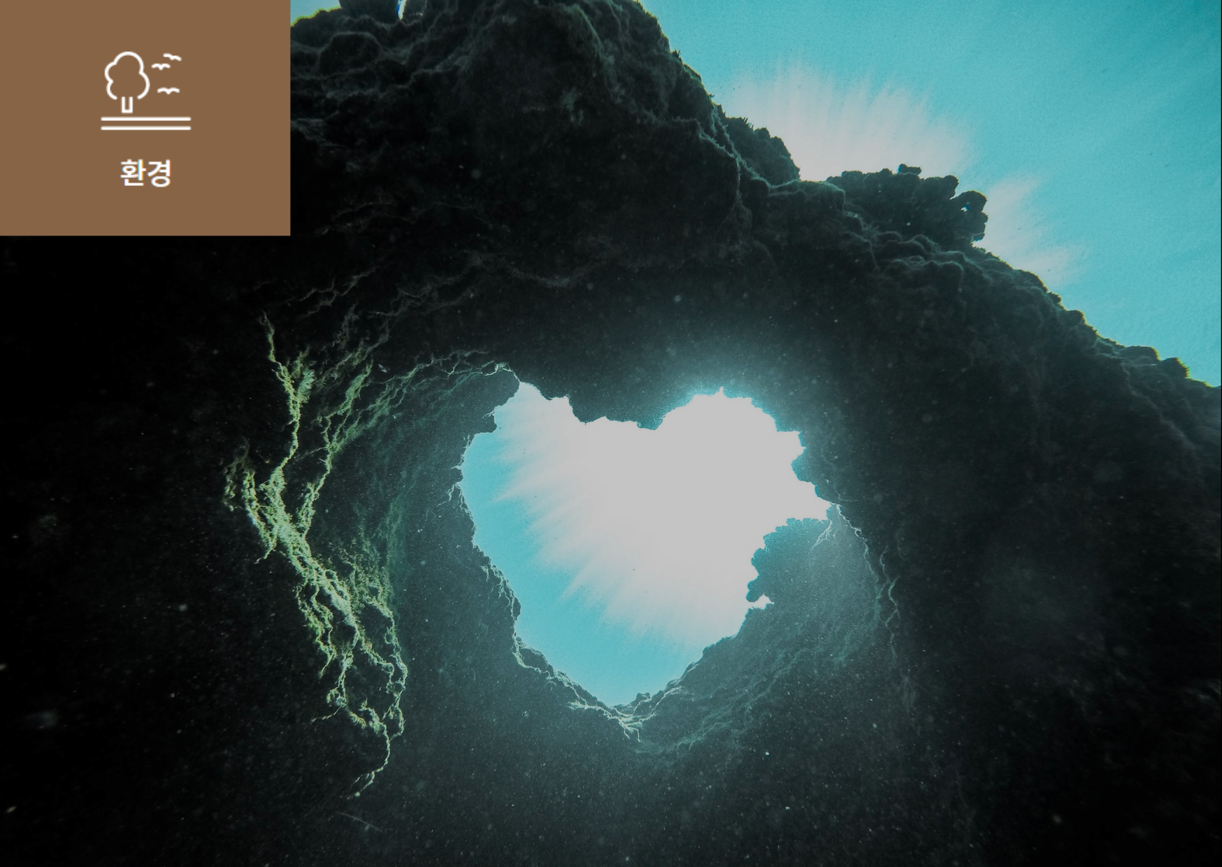 [해양산성화란(Ocean acidification)?] 이미지